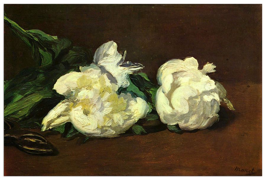 Manet Édouard - Still life, White Peony , Decorative MDF Panel (135x90cm)