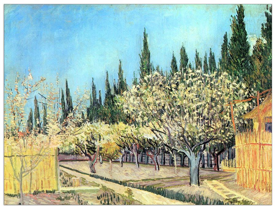 Van Gogh Vincent - Flowering fruit garden, surrounded by cypress , Decorative MDF Panel (80x60cm)