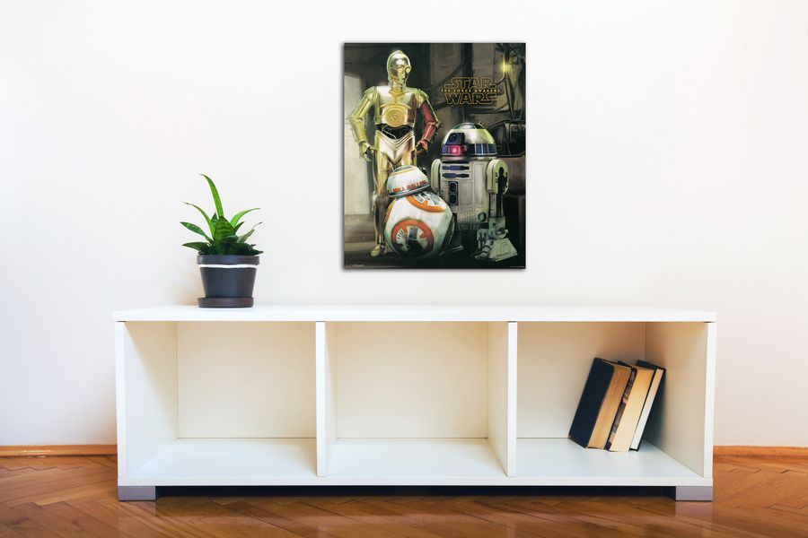 Star Wars episode VII Droids, Decorative MDF Panel (40x50cm)