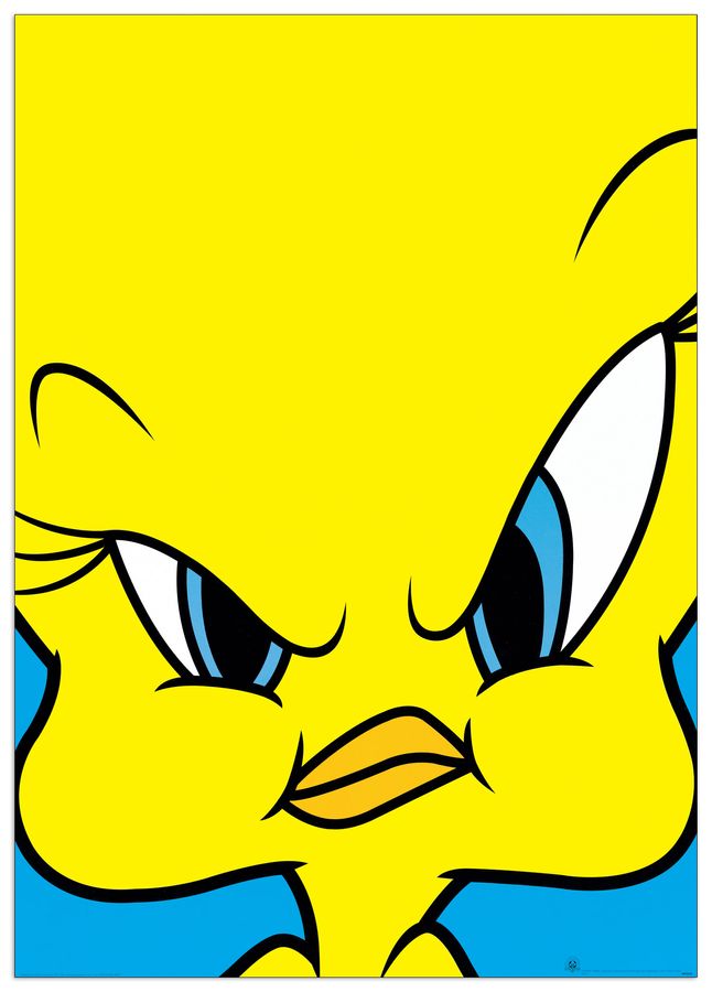 Looney Tunes - Tweety, Decorative MDF Panel (60x90cm)