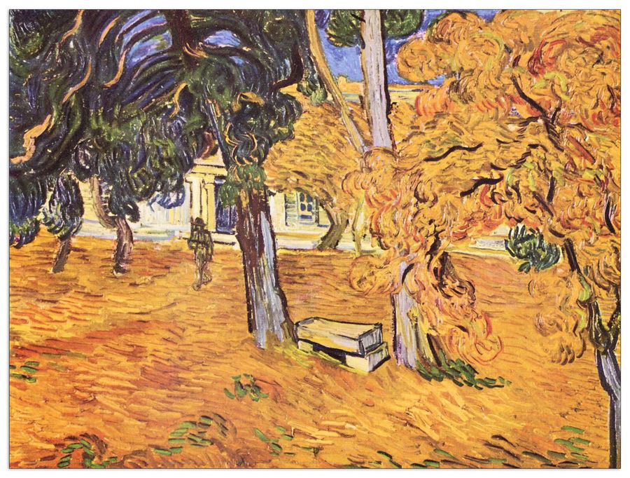 Van Gogh Vincent - The park of St-Paul Hospital in Saint-ReÌmy, Decorative MDF Panel (120x90cm)