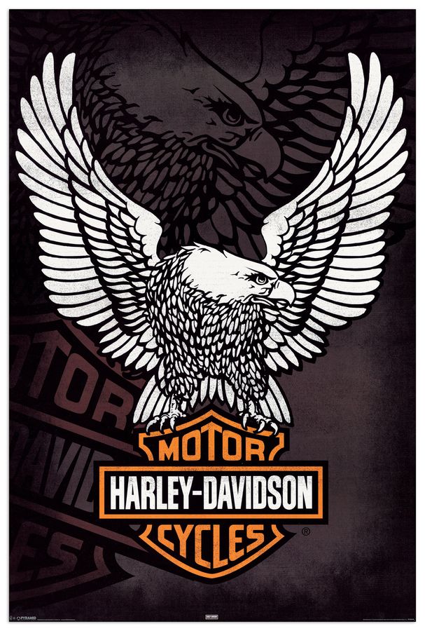 Null - Harley Davidson Logo, Decorative MDF Panel (60x90cm)