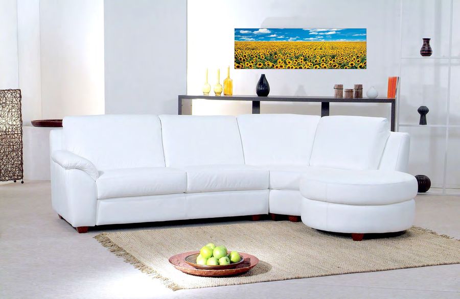 Anthea Images - A Sunflower Field in Provence, Decorative MDF Panel (100x29cm)