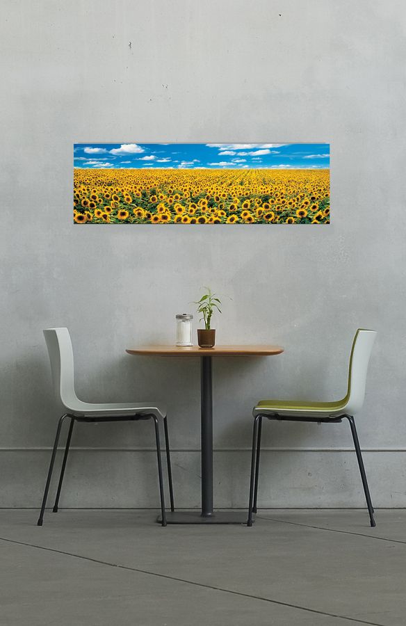 Anthea Images - A Sunflower Field in Provence, Decorative MDF Panel (138x43cm)