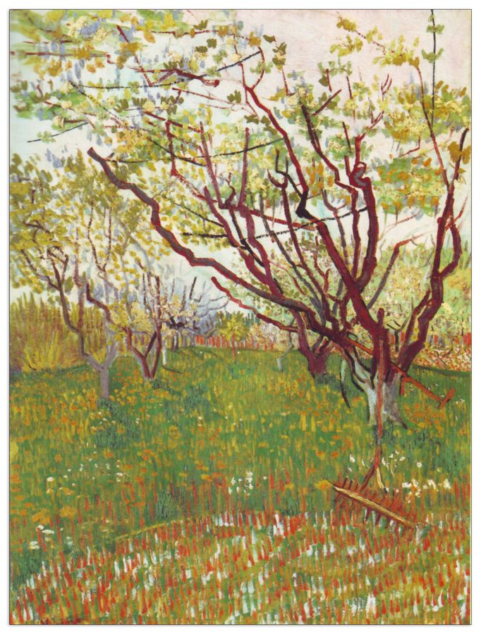 Van Gogh Vincent - Cherry Tree by Van Gogh, Decorative MDF Panel (90x120cm)