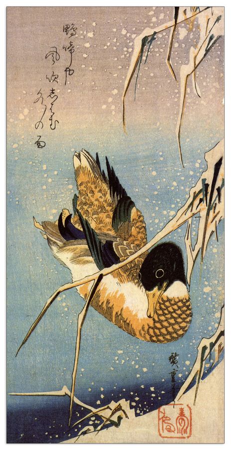 Hiroshige Utagawa  - Wild duck, Decorative MDF Panel (50x100cm)