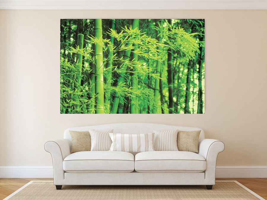 Photography Collection - Bamboo In Spring, Decorative MDF Panel (175x115cm)