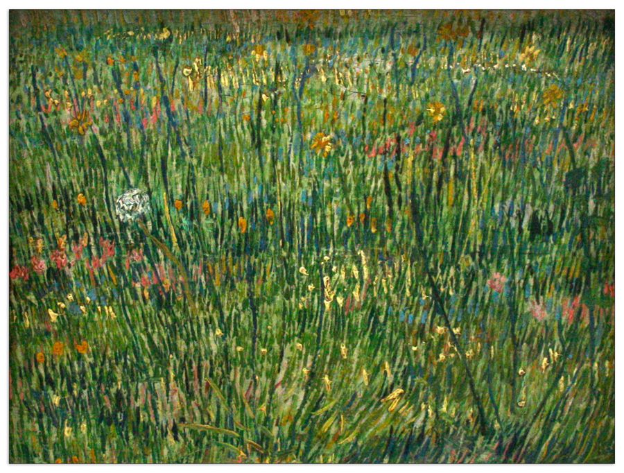 Van Gogh Vincent - Patch of grass, Decorative MDF Panel (120x90cm)