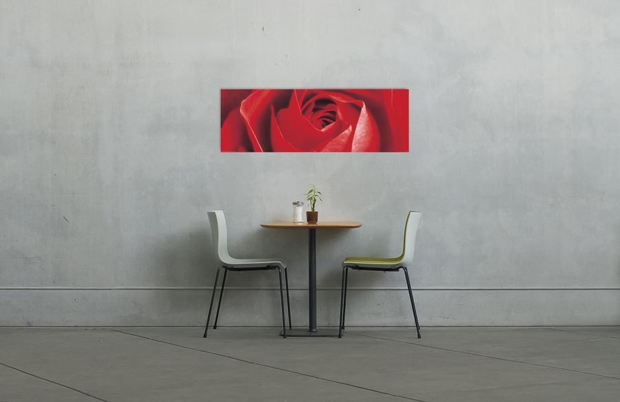 Anonymous - Red Rose, Decorative MDF Panel (158x53cm)