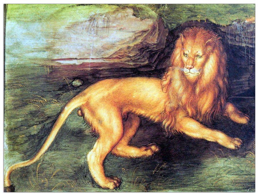 Albrecht Dürer - Lion, Decorative MDF Panel (80x60cm)