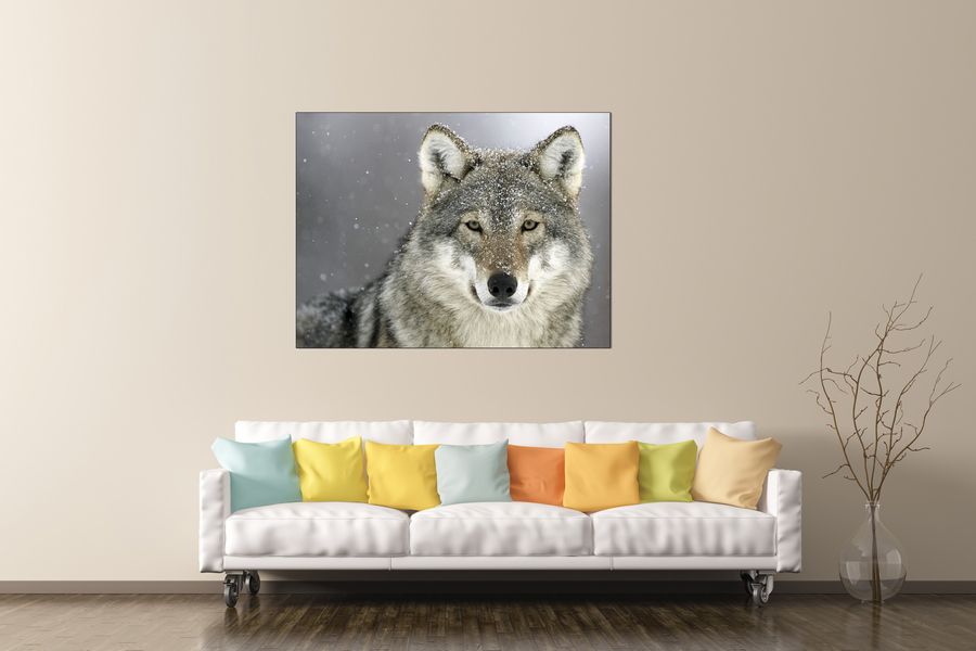 Art Studio - Wolf, Decorative MDF Panel (120x90cm)