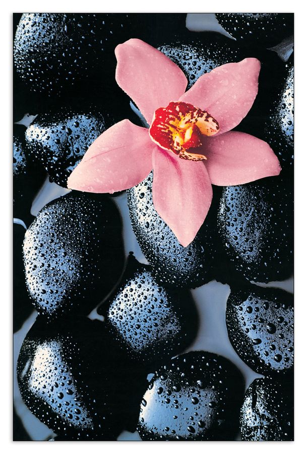 Photography Collection - Stone Orchid, Decorative MDF Panel (115x175cm)