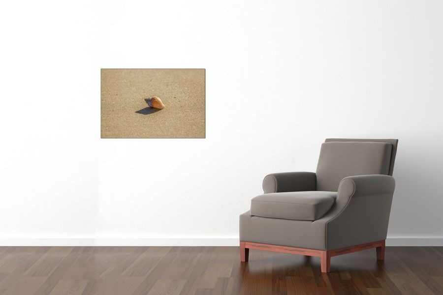 Art Studio - Shell, Decorative MDF Panel (90x60cm)