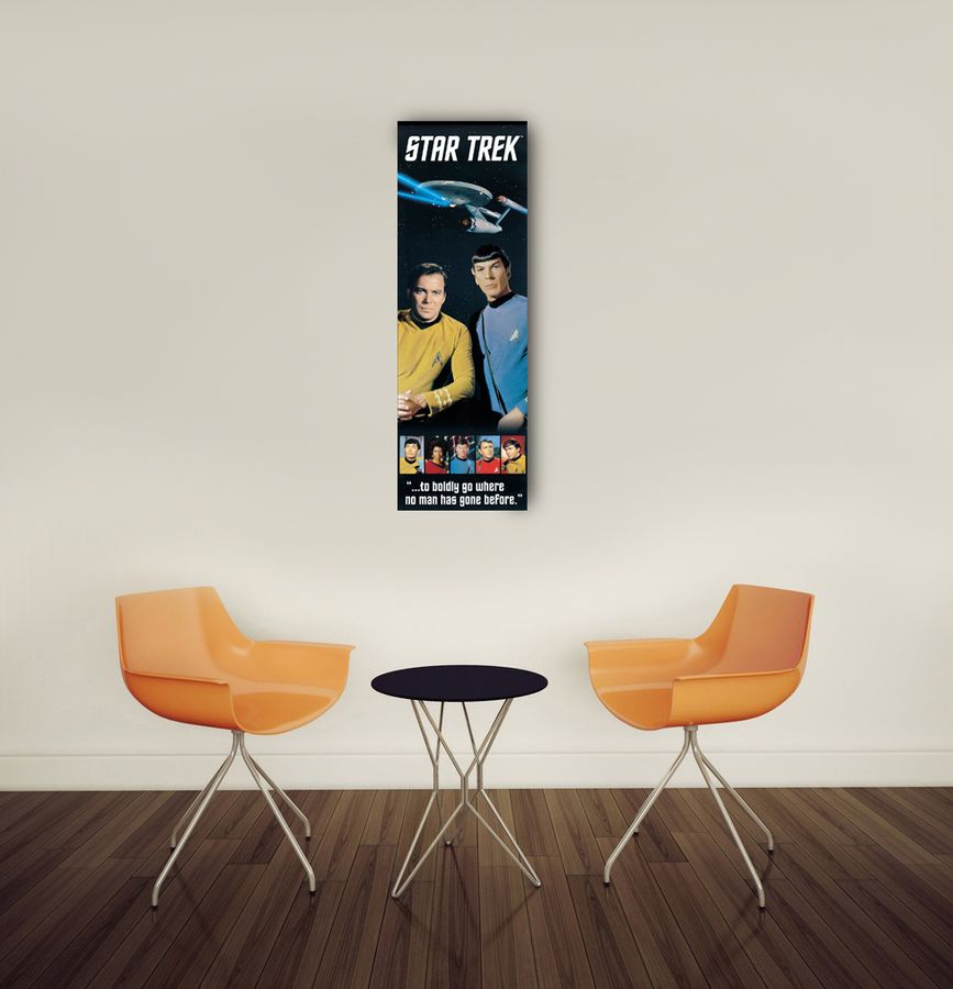 Null - Star Trek, Decorative MDF Panel (53x158cm)
