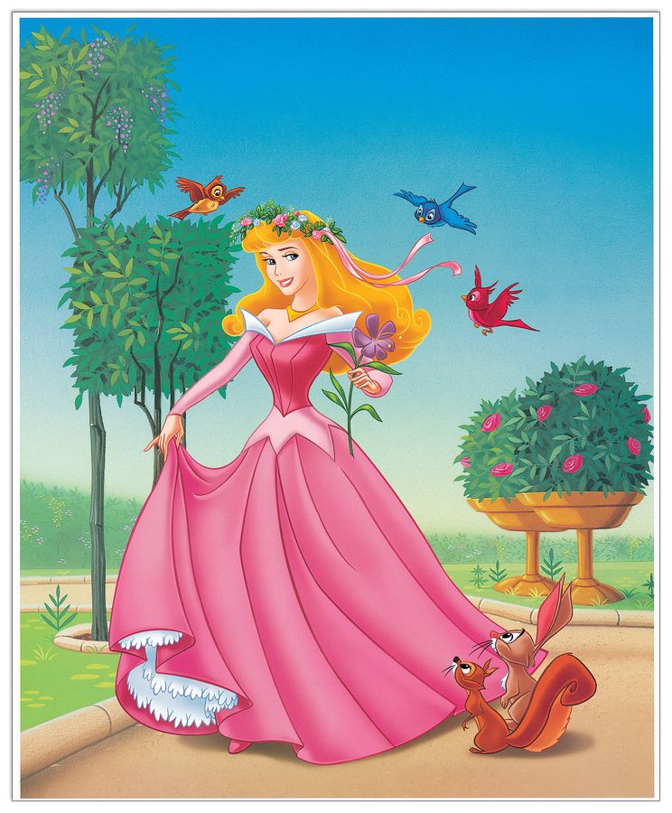 Disney - Sleeping Beauty, Decorative MDF Panel (40x50cm)