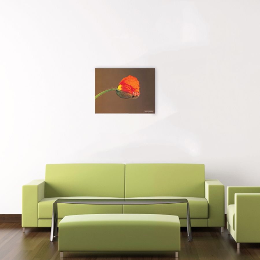 Geddes - Untitled, Decorative MDF Panel (40x30cm)