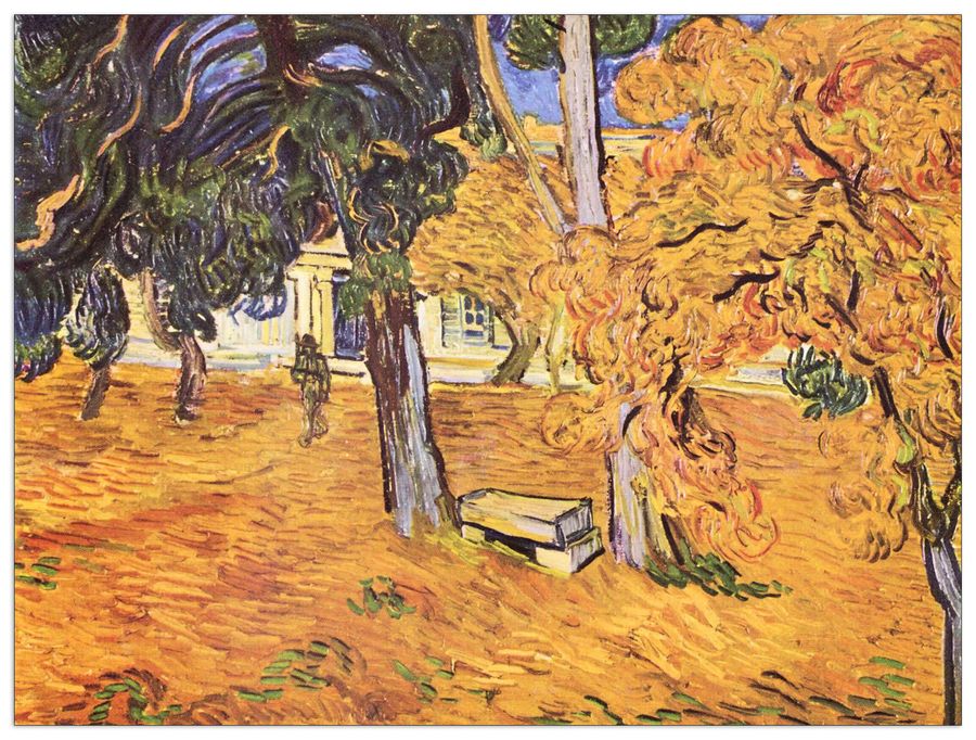 Van Gogh Vincent - The park of St-Paul Hospital in Saint-ReÌmy II, Decorative MDF Panel (80x60cm)