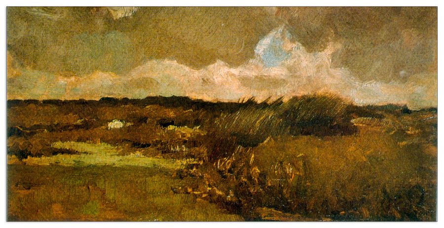 Van Gogh Vincent - Marshy, Decorative MDF Panel (100x50cm)