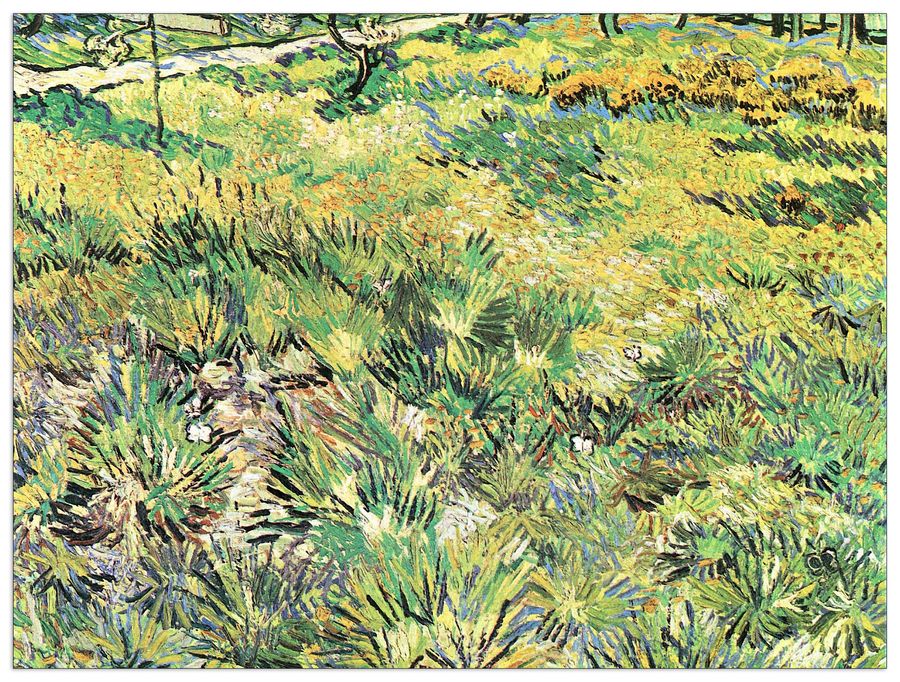 Van Gogh Vincent - Meadow in the Garden of Saint-Paul Hospital, Decorative MDF Panel (80x60cm)
