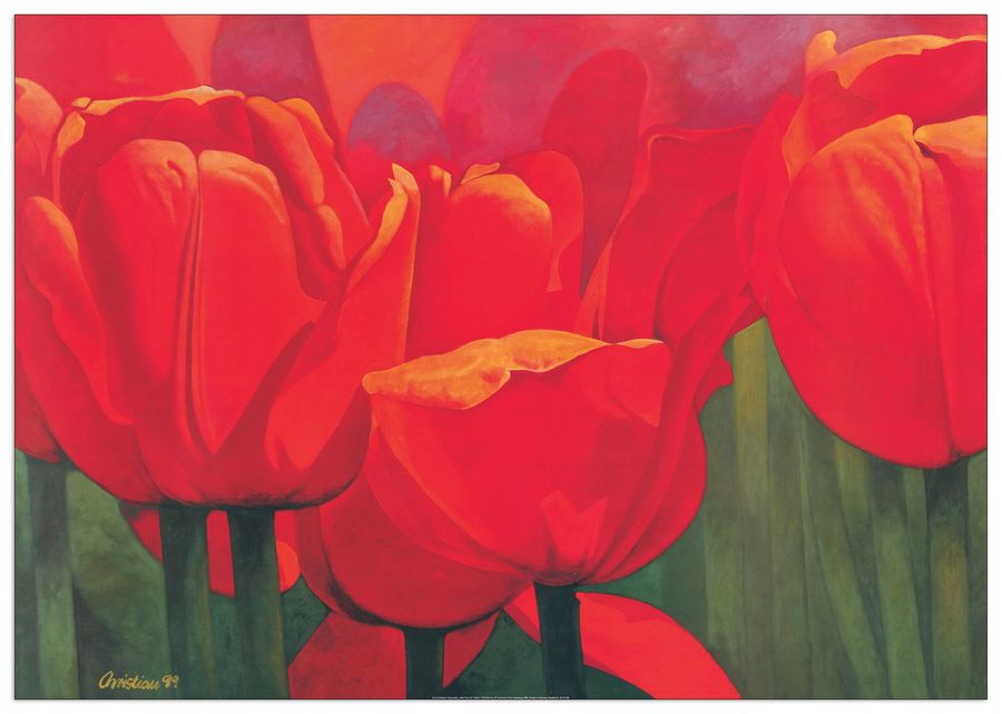 Christian - Red Time For Tulips, Decorative MDF Panel (100x70cm)