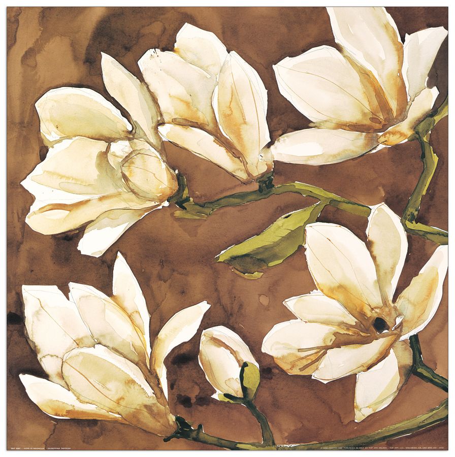 Tartagni - Fiori Di Magnolia, Decorative MDF Panel (50x50cm)