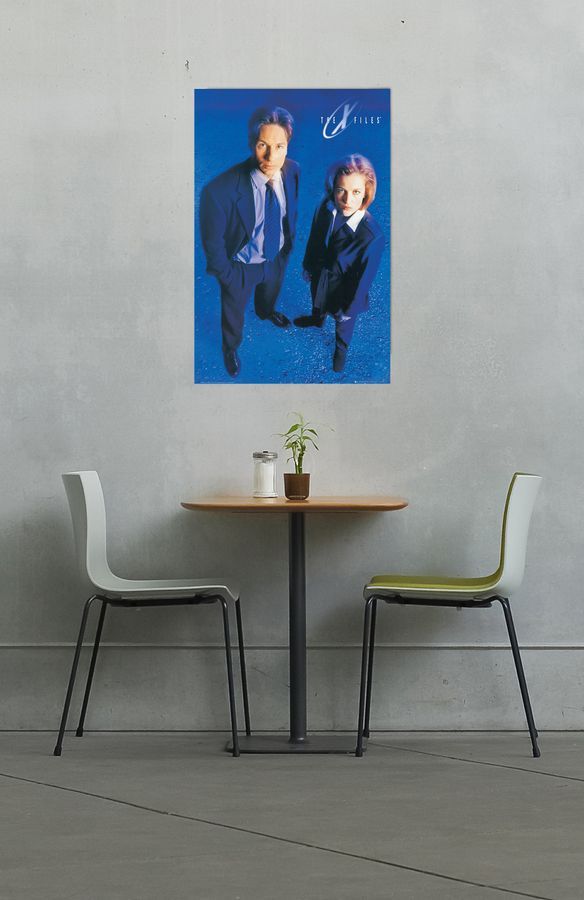 Null - X-Files, Decorative MDF Panel (60x90cm)