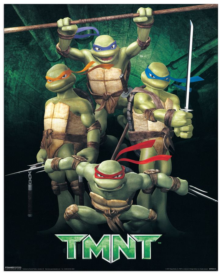 Null - Ninja Turtles, Decorative MDF Panel (40x50cm)