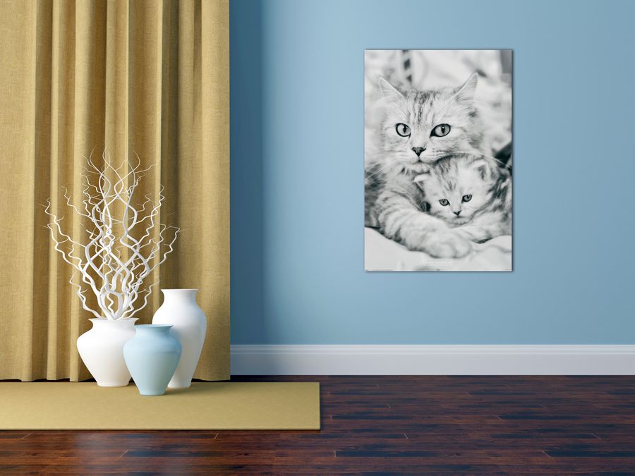 Kimberlin - Cat and kitten , Decorative MDF Panel (60x90cm)