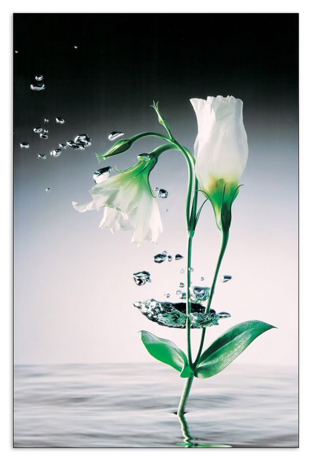Zimmerman - Crystal Flowers, Decorative MDF Panel (115x175cm)