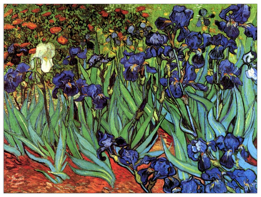 Van Gogh Vincent - Irises, Decorative MDF Panel (80x60cm)