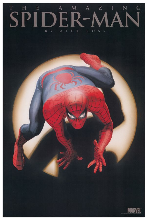 Null - Spiderman, Decorative MDF Panel (61x91cm)